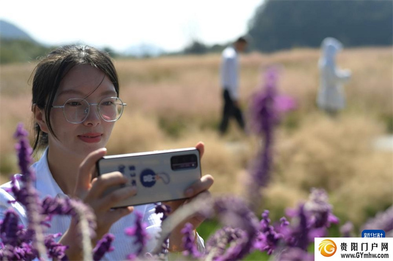 貴州百里杜鵑：拓展旅游業態 激活秋冬旅游